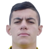 Gavim