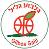 Gilboa Galil