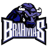 Fort Worth Brahmas