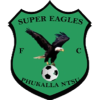 Super Eagles