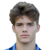 Gavioli