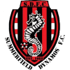 Summerfield Dynamos