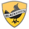 Blackbirds