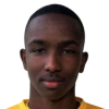 Elmi