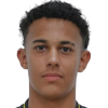 Araujo