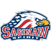 Saginaw Spirit