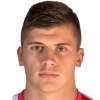 Mandic N. (SLO)