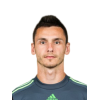 Janjetovic