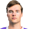 Vertanen