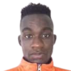 Ndlovu
