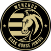 Jiangxi Dark Horse