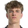 Van Elsuwege