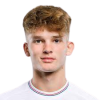 Hrvojevic