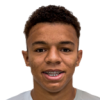 Rafael Bilu