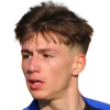 Tigani