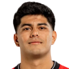 Navarro