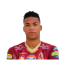 Robles