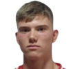 Cubretovic
