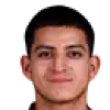 Erique Villigua