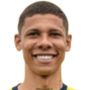 dos Santos Silva