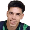 Borasi