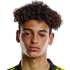 Rodriguez
