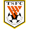 Shandong Taishan B
