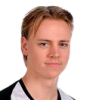 Lehtojuuri