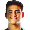 Wolff