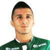 Flores Senecal