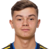 Bozicevic