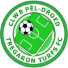 Tregaron Turfs