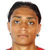 Rojas