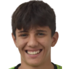 Menegaldo