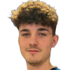 Dodig