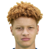 van den Bos