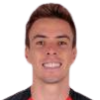 Luan Polli