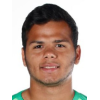 Dos Santos Ferreira