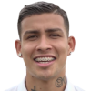 Pucheta