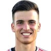 Rojas