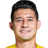 Flores Soto