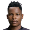 Dlamini