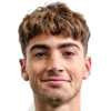 Dibenedetto