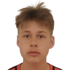 Vork