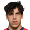 Gozzo