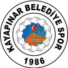 Diyarbakir Kayapinar