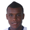 Gomez Pereira