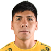 Pinilla