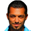 Volpe