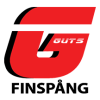 Guts Finspang
